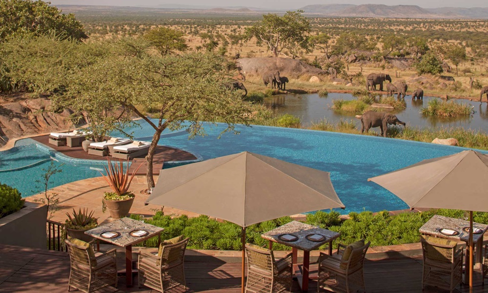 SERENGETI