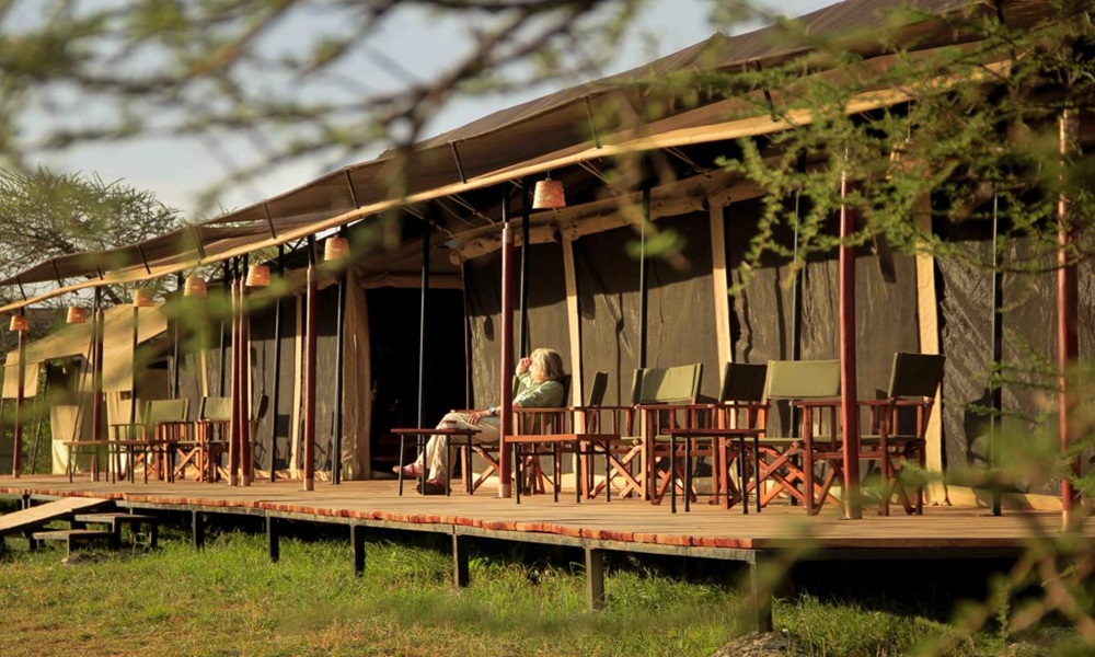 SERENGETI