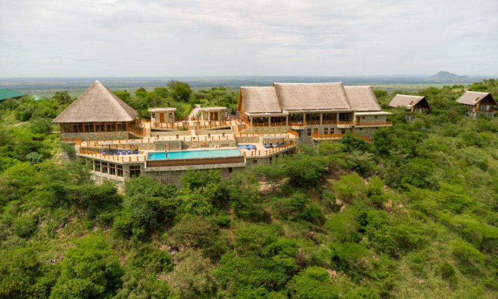 SERENGETI