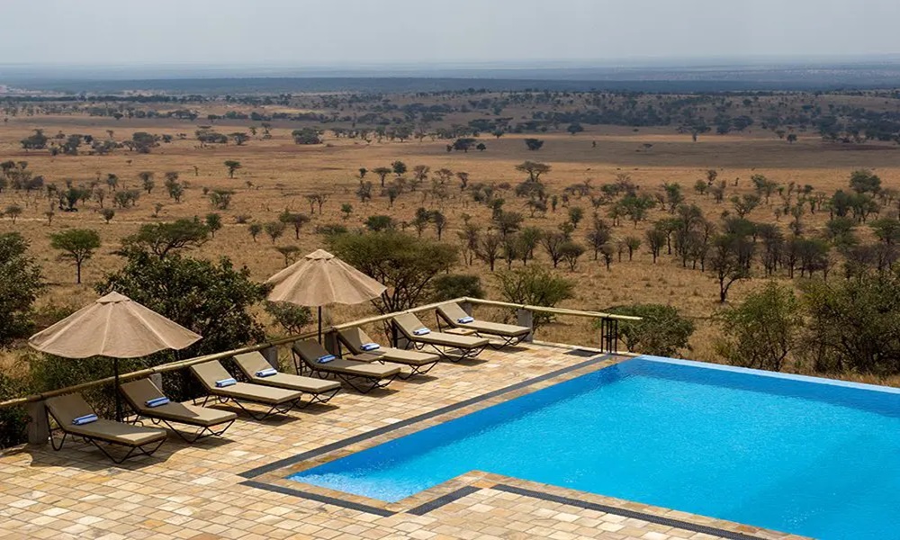 SERENGETI