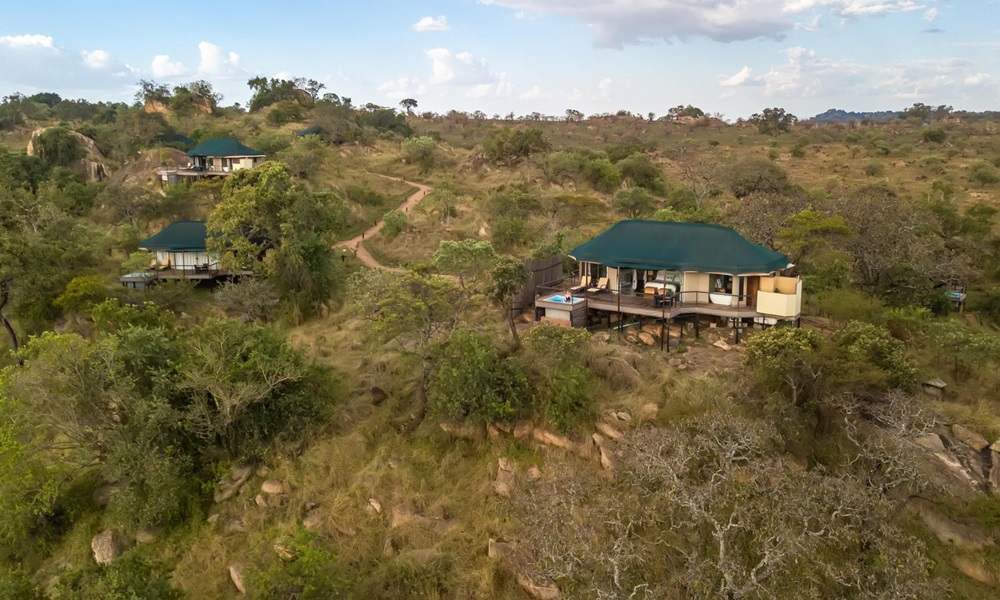 SERENGETI