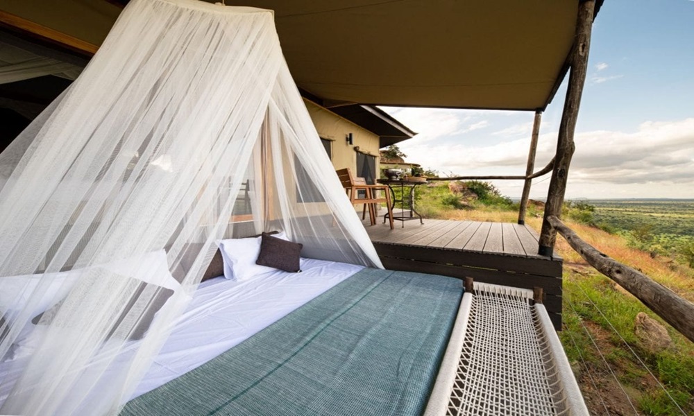 NDUTU NGORONGORO