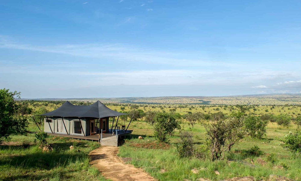SERENGETI