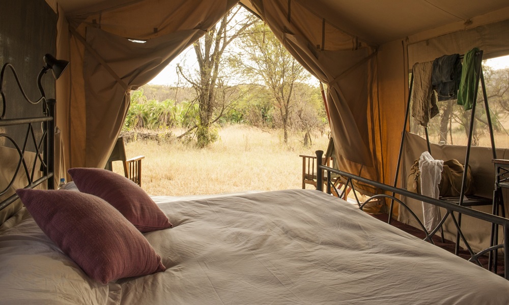 SERENGETI