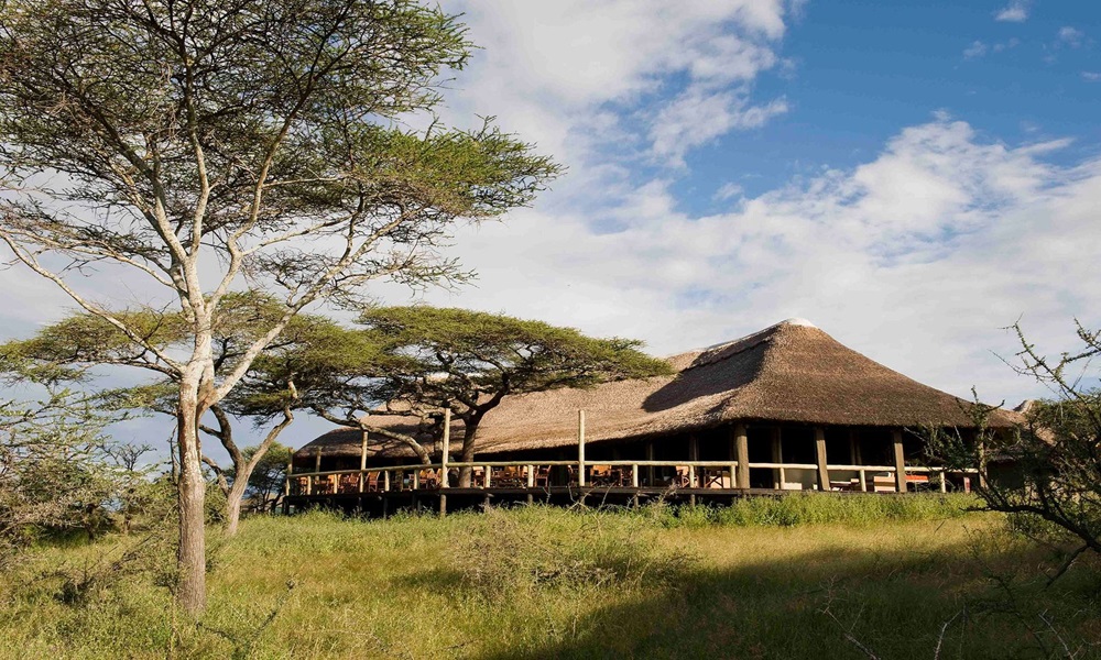 NDUTU NGORONGORO
