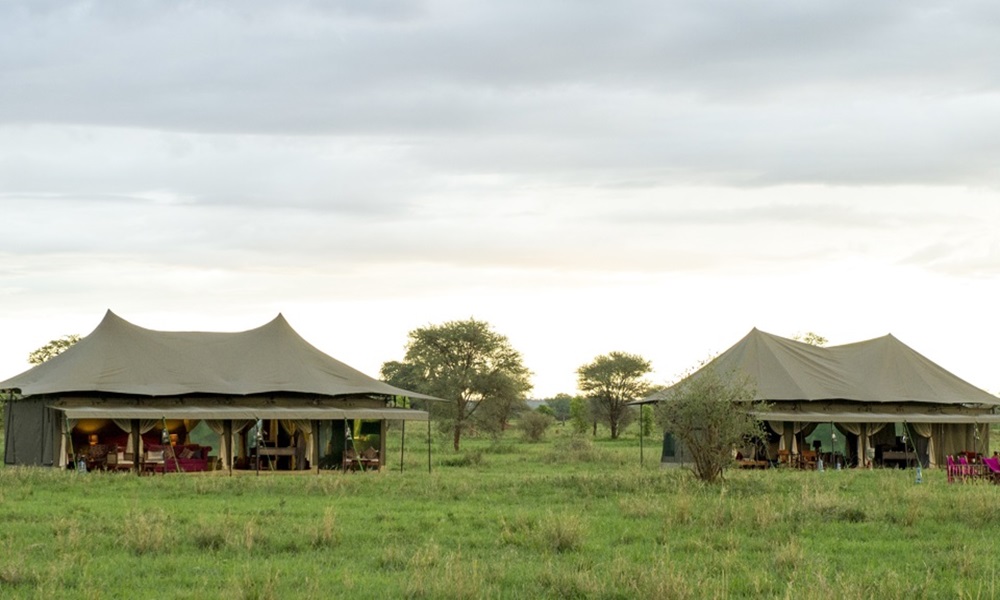 SERENGETI