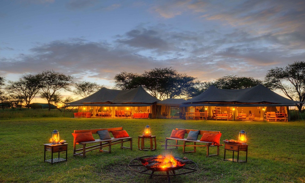 SERENGETI