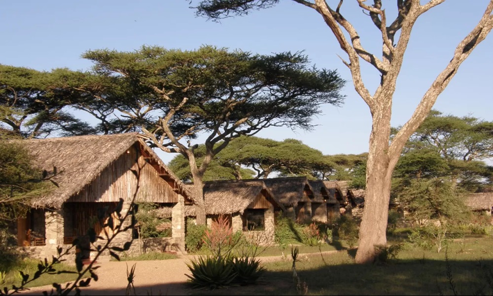 NDUTU NGORONGORO