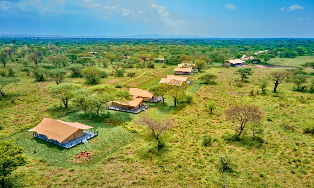 SERENGETI