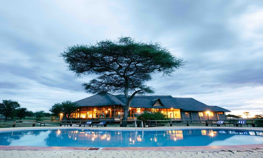 SERENGETI