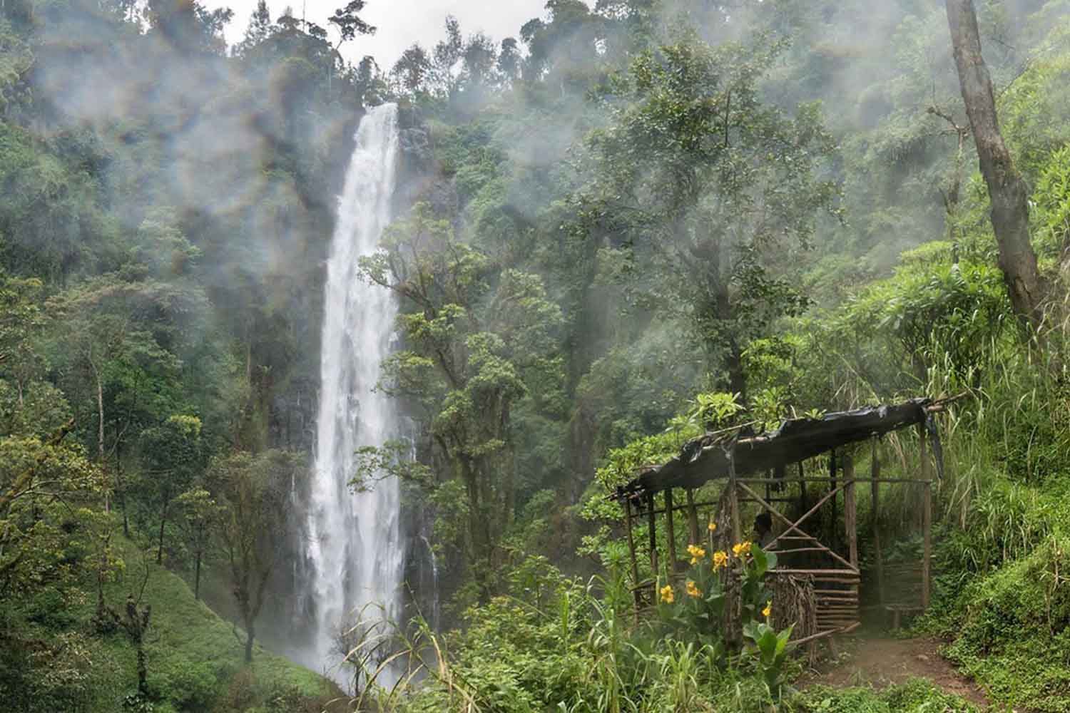 MATERUNI WATERFALL SAFARI