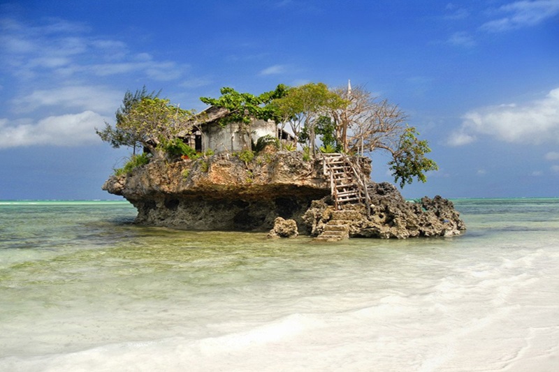 Ilepeta African Wonders