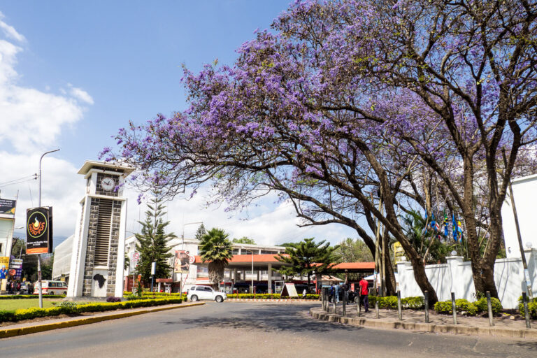 Top 20 Things to do in Arusha