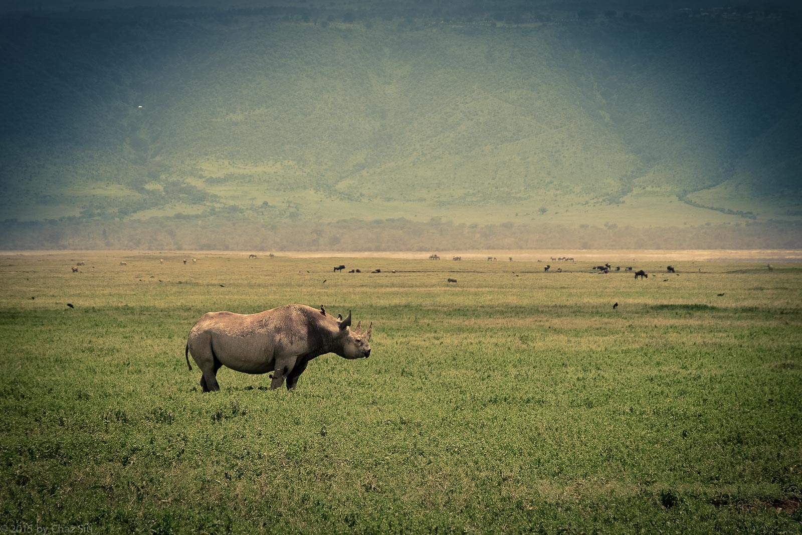 Ngorongoro Crater