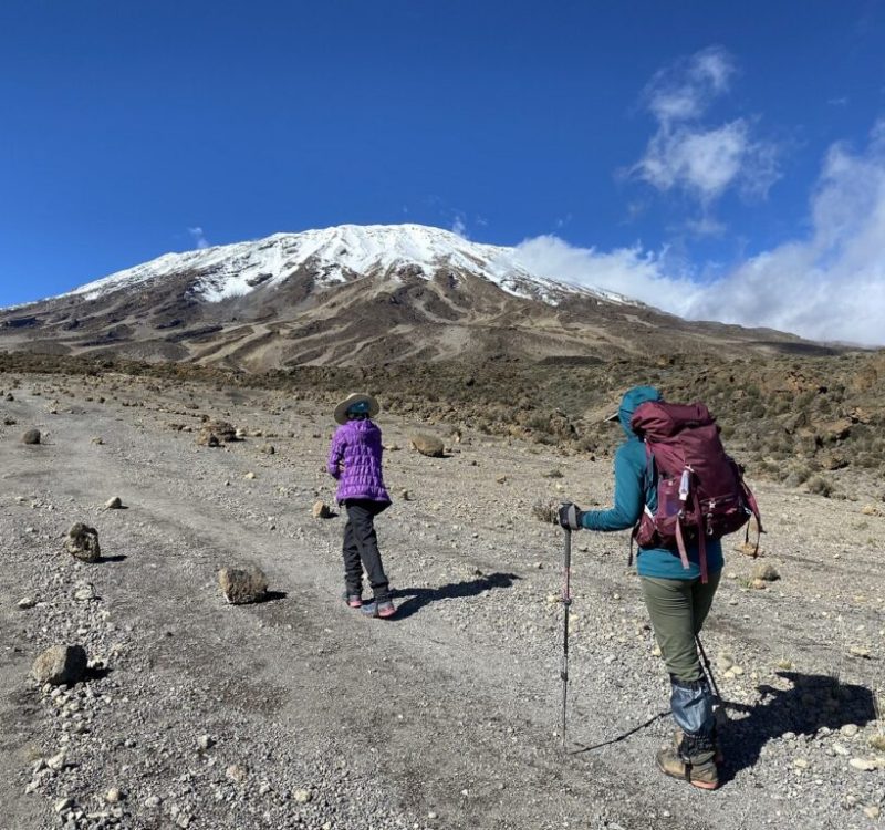Kilimanjaro lemosho route
