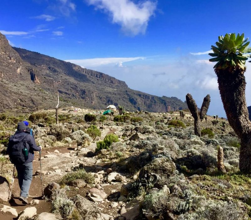 Machame trekking