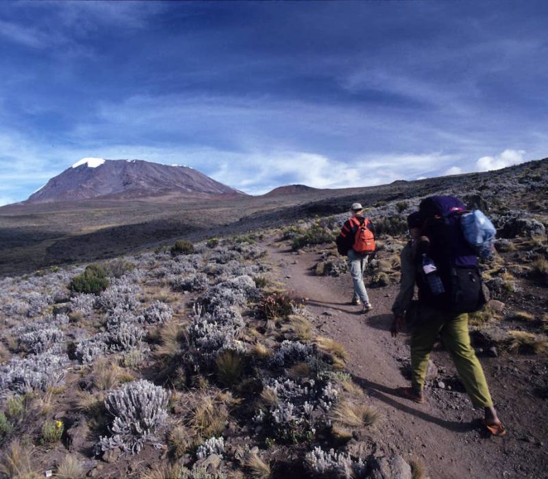 Marangu route trekking