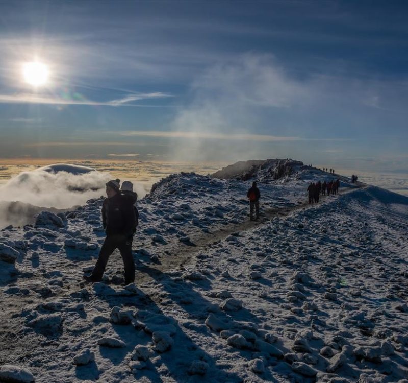 lemosho route uhuru peak