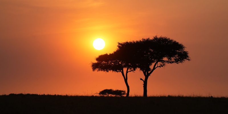night view ngorongoro (1)